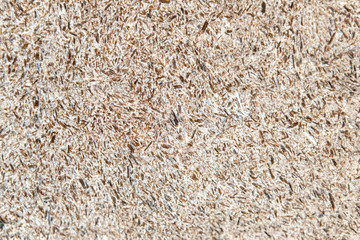 Stone texture and background. Rock mineral exclusive unique texture