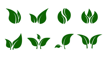 Green leave iconset. Eco elements and shapes of leaves and plants isolated on white background. Vegan bio natural logos, vector illustration