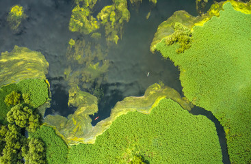 Aerial view of kayaks in the still watwers of the delta