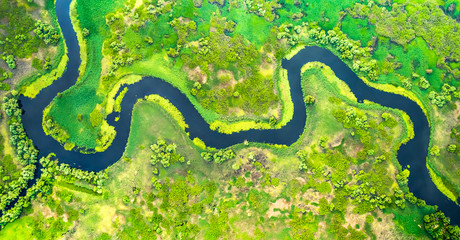 Aerial view of meander in the delta - obrazy, fototapety, plakaty