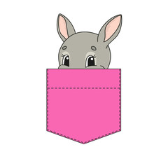Cute character in shirt pocket. Rabbit bunny animal. Colorful vector illustration. Cartoon style. Isolated on white background. Design element. Template for your shirts, stickers.