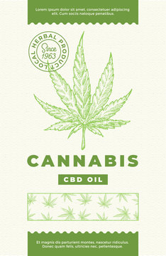 Hemp CBD Oil Abstract Vector Design Label. Modern Typography and Hand Drawn Cannabis Leaf Sketch Pattern Silhouette Background Layout.