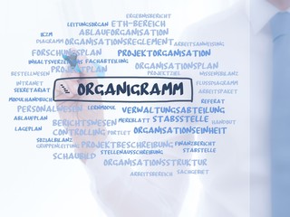 Organigramm