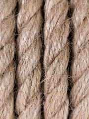 Texture natural jute rope made of cotton fiber and hemp. Close-up background of thick rope made of vegetable materials,