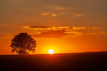 Fototapeta na wymiar Sunset of Palava hill, South Moravia, Czech republic