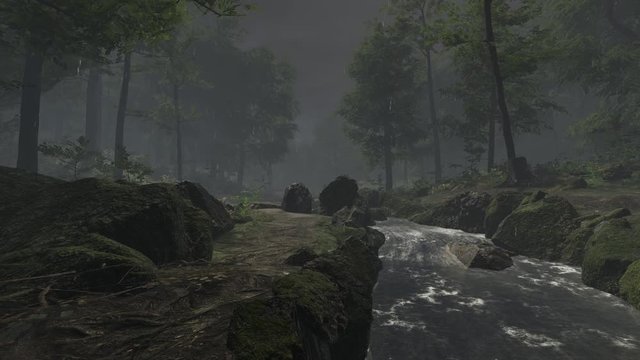 嵐の日の川の小径