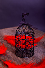 Obraz na płótnie Canvas Empty rusty birdcage on old rustic wooden background with red plume. The concept of Valentine Day.