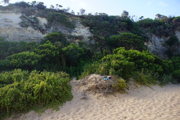 Loch Ard Gorge surroundings, Port Campbell National Park, GOR