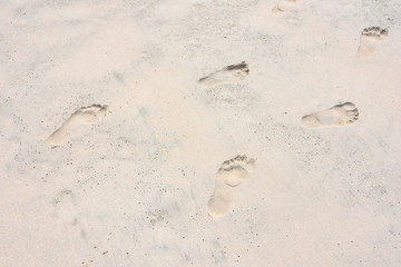 Footsteps on a sandy beach