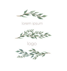 Watercolor hand painted green eucalyptus branch. Floral illustration isolated on white background.Clip art for logo, label, .packaging, cosmetic, textile, paper.
