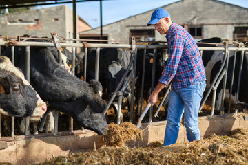 Portrait of a man on livestock ranches.