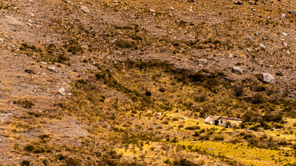  house on the mountain