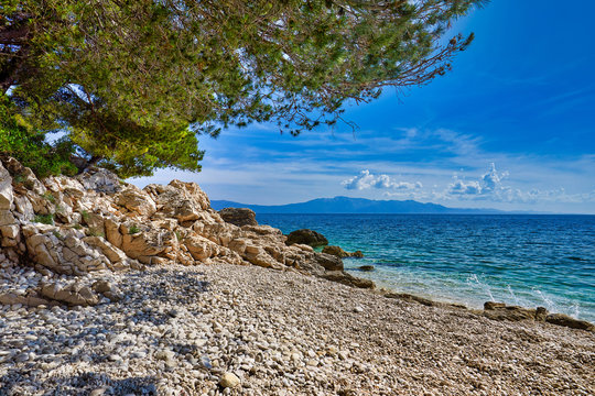 Amazing seascape of Adriatic sea. Luchica beach Croatia, Europe. Colorful summer view of small beach. Croatian coast with clear water and pine trees around. Tropical viewpoint for design postcard.