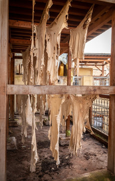 Drying Leather in Chouara Tannery, Fez, Morocco