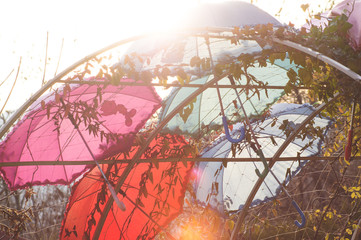 map of the world umbrella