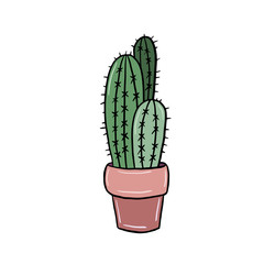 Illustration of a cactus. Color vector illustration in cartoon style. Freehand drawing.