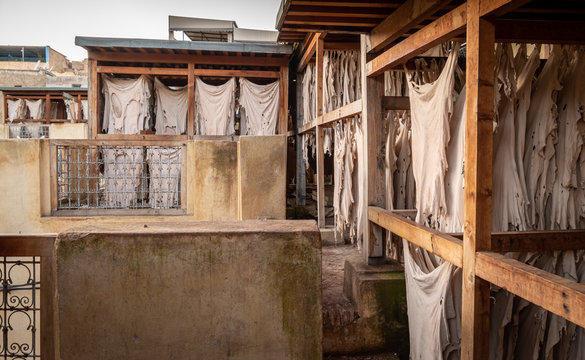 Drying Leather in Chouara Tannery, Fez, Morocco