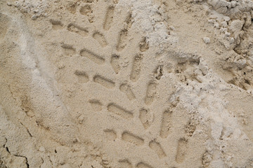 Tire trace tracks car on a sand dune 
