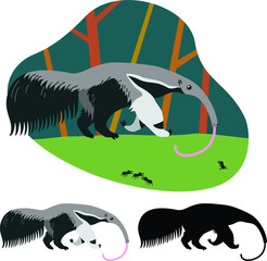 Animal south america anteater walks through a meadow with ants against a forest