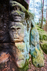 Fototapeta na wymiar Rock sculptures of giant heads and other artworks Harfenice (Harfenist) carved into the sandstone cliffs in pine forest above village Zelizy by Vaclav Levy, Central Bohemia, Kokorin, Czech republic