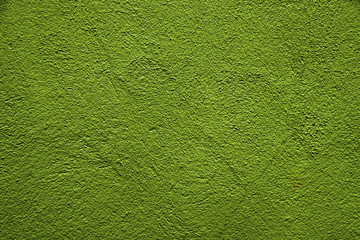 The texture of the green surface. Nice green subject