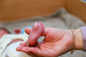 Newborn's legs are small in the hands of parents