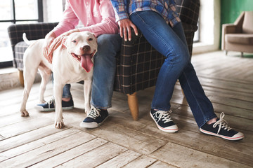 A large white Pitbull dog open mouth with a pink tongue next to their crop anonymous owners in the same shoes in the home interior.