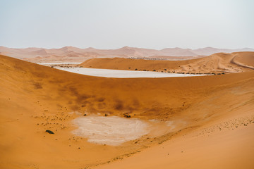 Fototapeta na wymiar panoramic photo of beautiful red sand dunes at Sossusvlei in Namib Desert