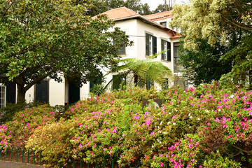 Funchal, Portugal - february 22 2018 : botanical garden