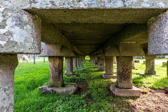 horreo