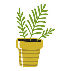 Plant in pot on white background