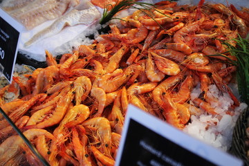 Fresh Shrimps on display in fishermen market