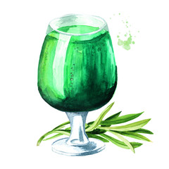 Refreshing drink from tarragon. Hand drawn watercolor illustration isolated on white background