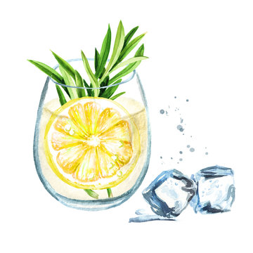 Refreshing drink from tarragon and lemonade. Hand drawn watercolor illustration isolated on white background