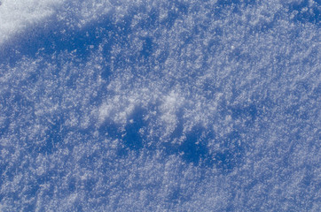 Background of frozen plants covered with snow. Texture of snow and snowflakes. beautiful winter landscape. frozen grass, clear frosty weather. winter season.