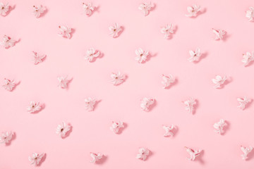 Beautiful flowers composition. Pink flowers on pastel pink background. Valentines Day, Easter, Birthday, Happy Women's Day, Mother's day. Flat lay, top view, copy space