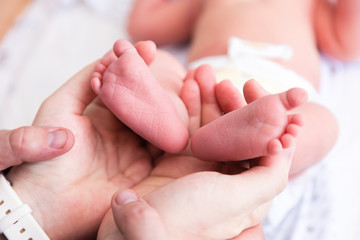 Fototapeta na wymiar Newborn's legs are small in the hands of parents