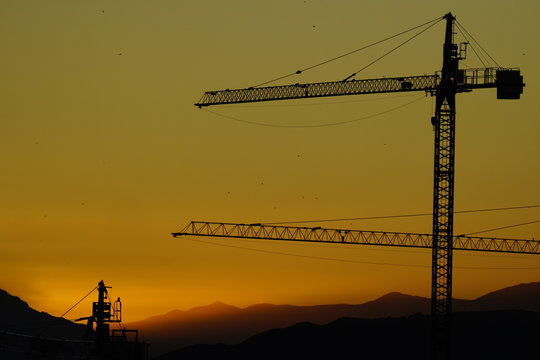 crane
