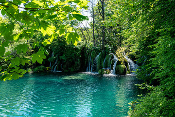 See mit Wasserfall im Wald in Vordergrund Zweige und Blätter Plitvicer Seen