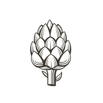 black artichoke bud vegetable illustration isolated on white background