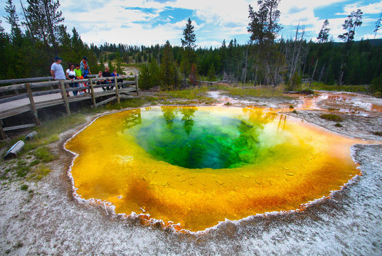 Morning Glory Pool, hot spring in the Upper Geyser Basin of Yellowstone National Park, USA