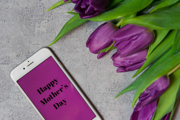 Fioletowe tulipany na szarym tle różowa wstążka © mirame111