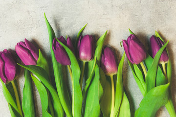 Fioletowe tulipany na szarym tle kiść bukiet kwiatów