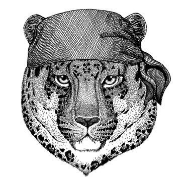 Jaguar, leopard, panther. Wild animal wearing pirate bandana. Brave sailor. Hand drawn image for tattoo, emblem, badge, logo, patch