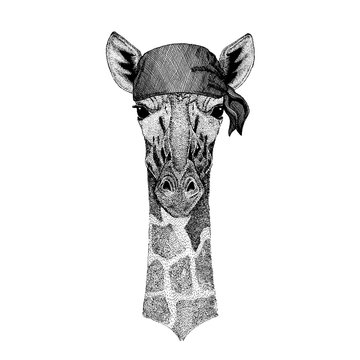 Giraffe. Wild animal wearing pirate bandana. Brave sailor. Hand drawn image for tattoo, emblem, badge, logo, patch
