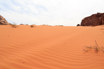 Dune in Wadi Rum desert, Jordan