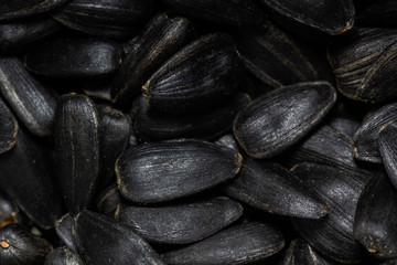black sunflower seeds, close-up, backgrounds and textures.