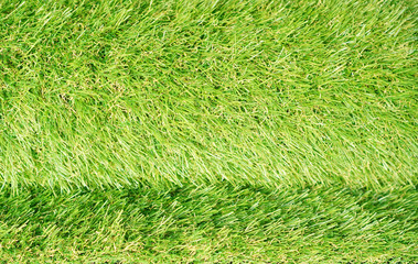 Evergreen artificial turf roll close up