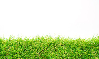 Evergreen artificial grass on a white background, copy space.