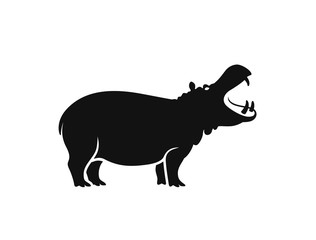 Hippopotamus  logo. Isolated hippopotamus on white background